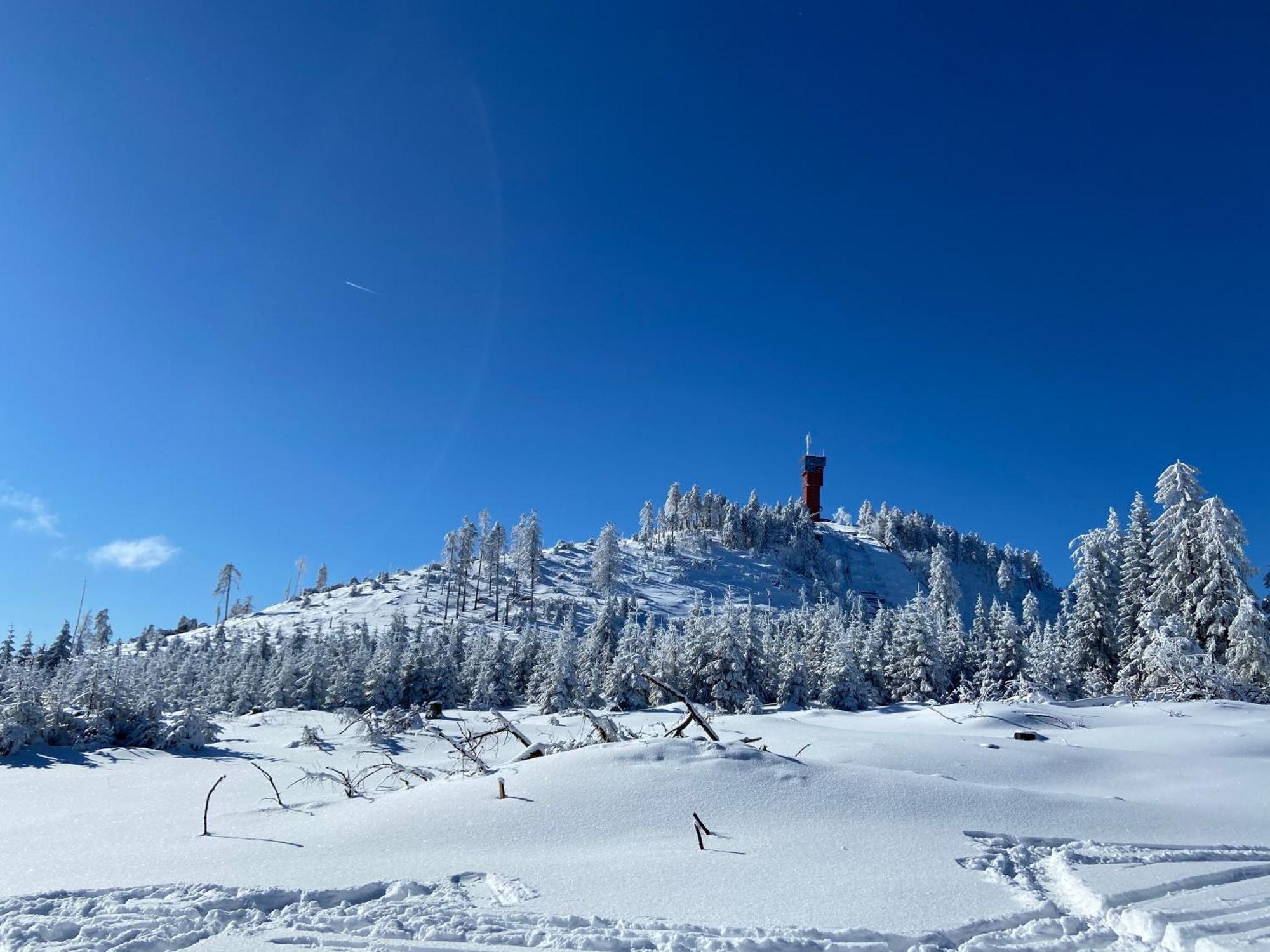 Bergtraum Braunlage Im Harz, 17 Gaeste, Sauna, Pool Villa Exterior foto