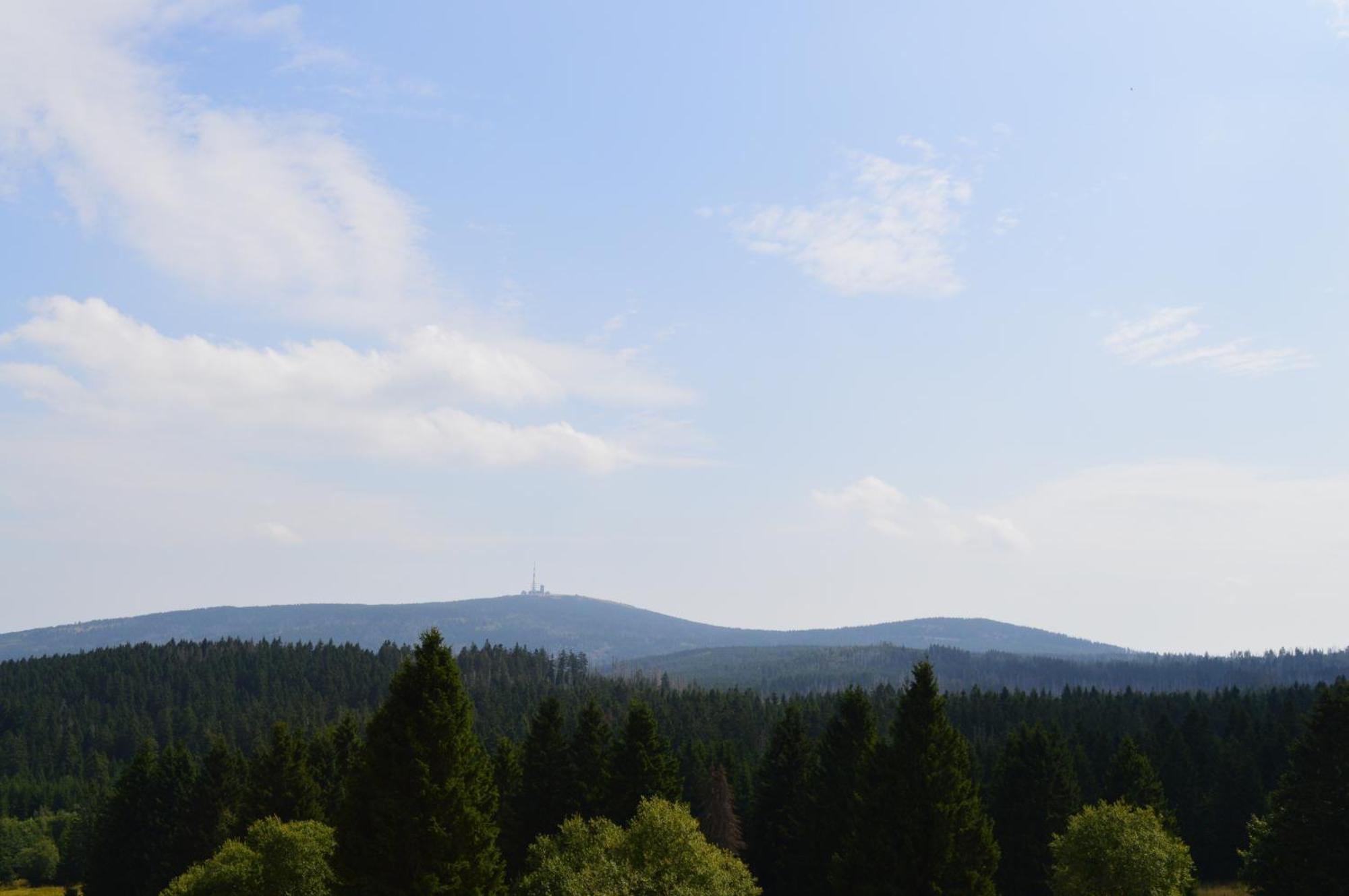 Bergtraum Braunlage Im Harz, 17 Gaeste, Sauna, Pool Villa Exterior foto