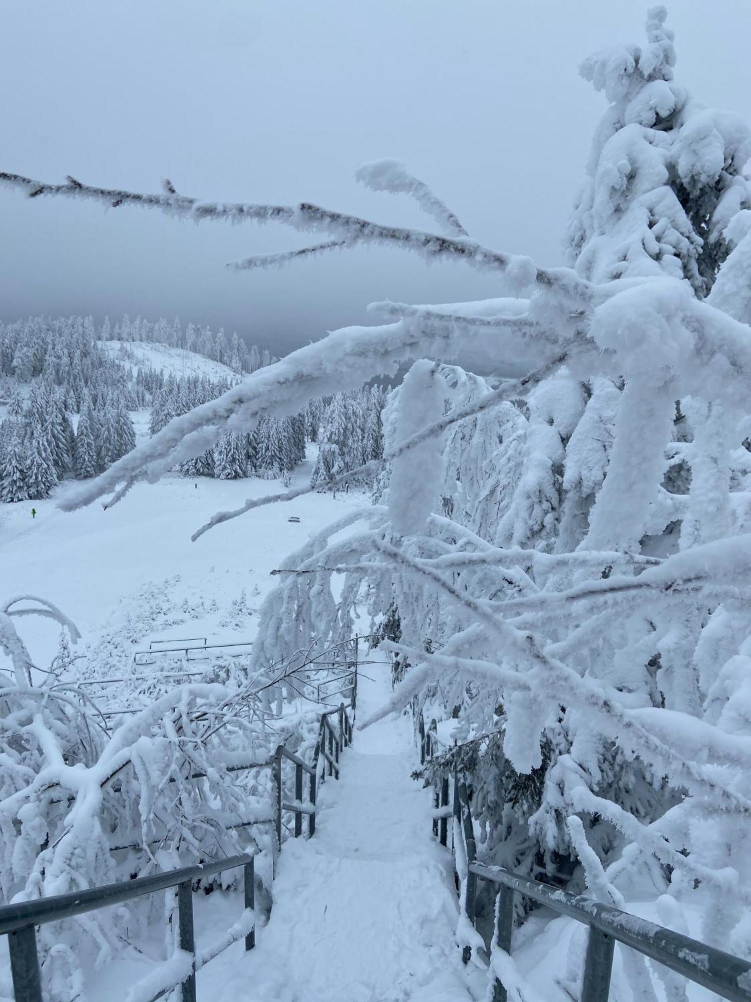 Bergtraum Braunlage Im Harz, 17 Gaeste, Sauna, Pool Villa Exterior foto