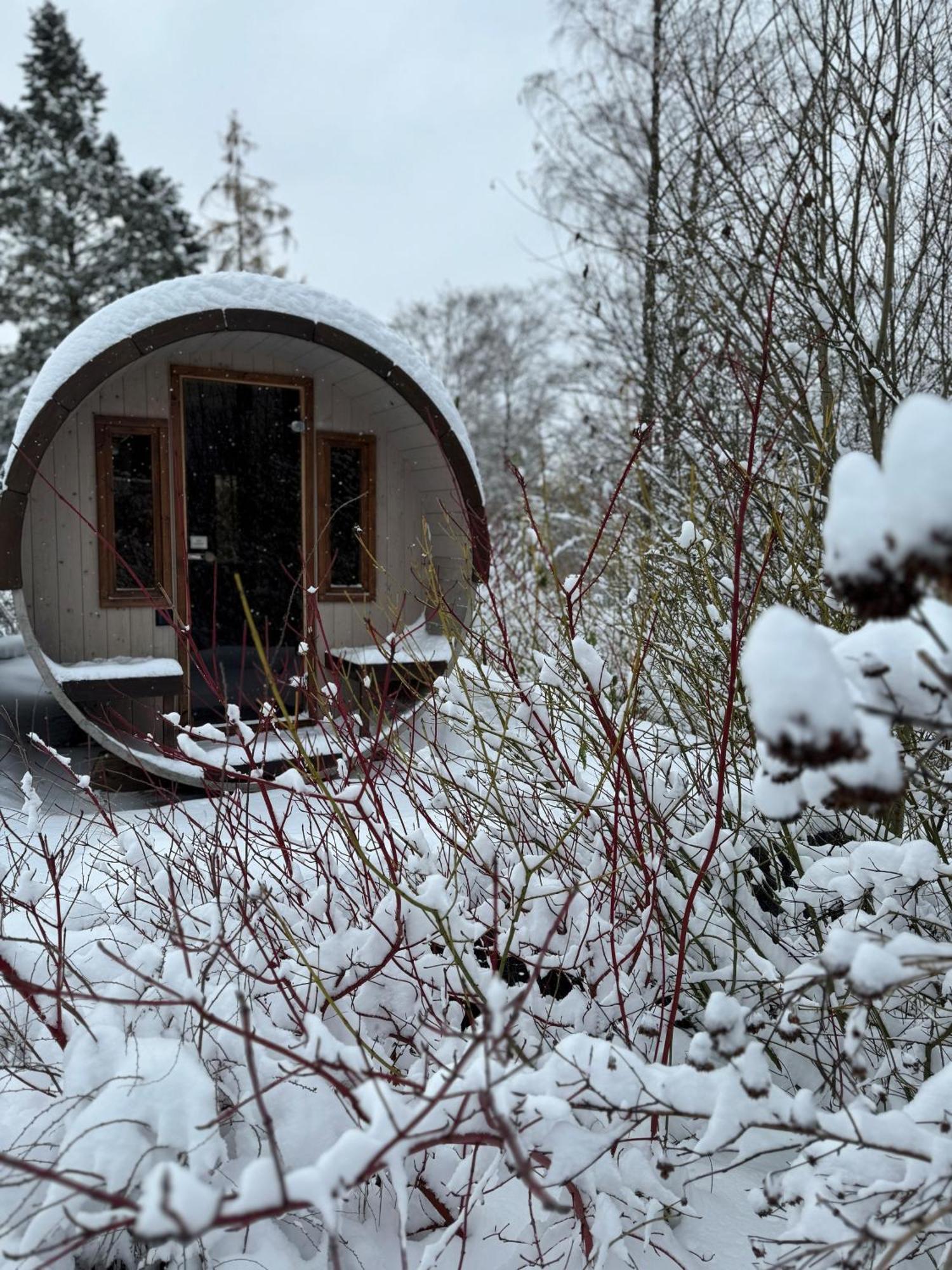 Bergtraum Braunlage Im Harz, 17 Gaeste, Sauna, Pool Villa Exterior foto